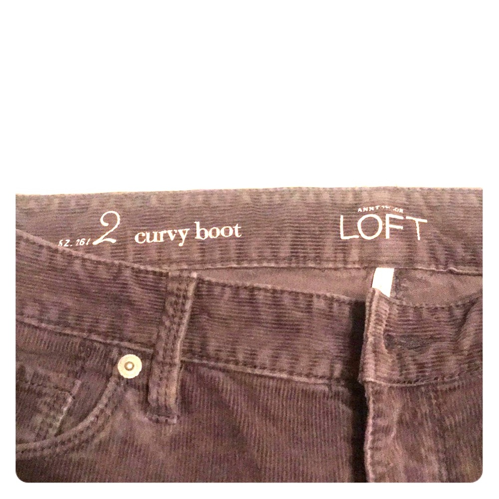 Loft Boot Cut Corduroy Pants - Dark Gray